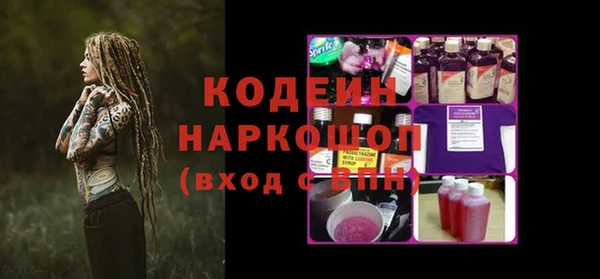 ECSTASY Алзамай