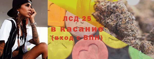 ECSTASY Алзамай